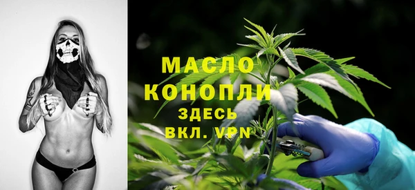 индика Балабаново