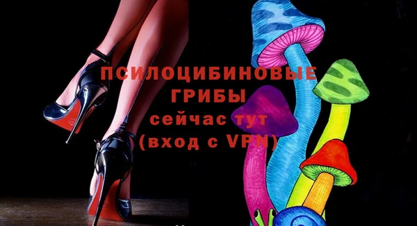индика Балабаново