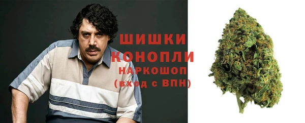 индика Балабаново