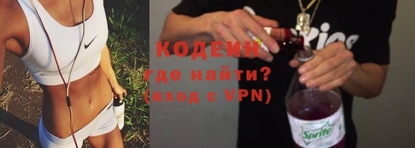 индика Балабаново