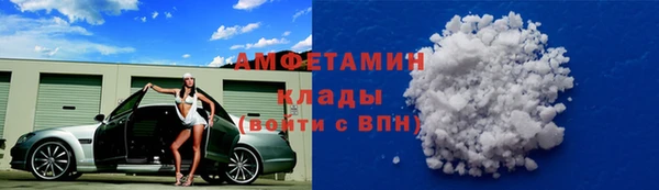 индика Балабаново