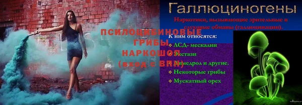 стафф Баксан