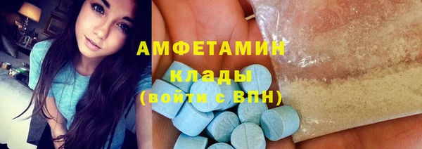 индика Балабаново