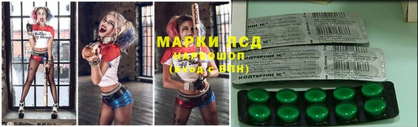стафф Баксан