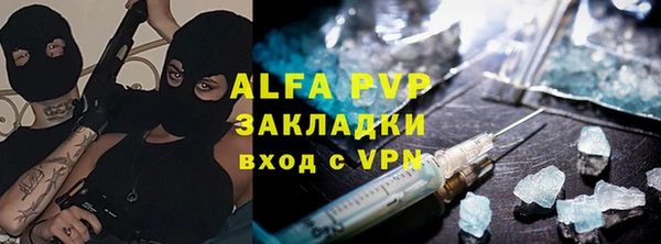 индика Балабаново